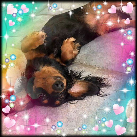 Meet your Posher, Stacia - Picture 1 of 1